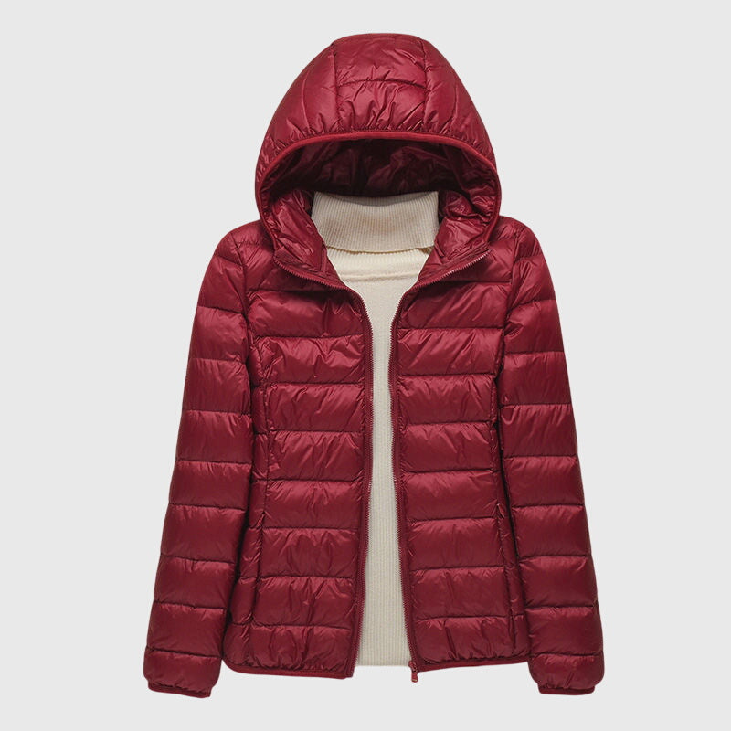 Burgundy / 3XL(24-26)