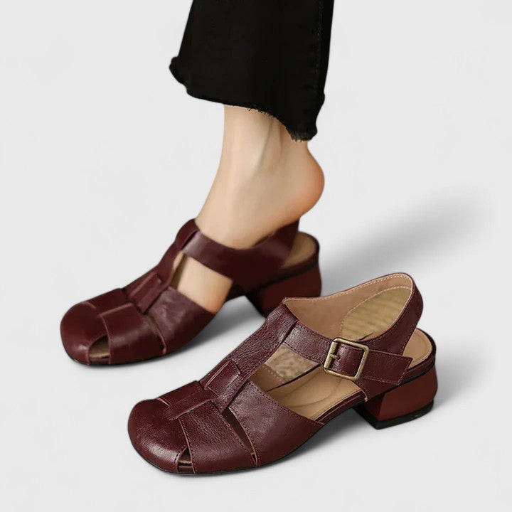 Brown / 11